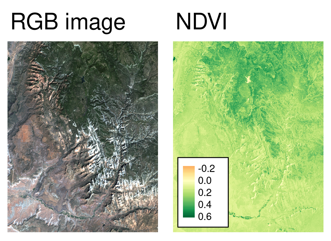 Image RVB (à gauche) et valeurs NDVI (à droite) calculées pour l'exemple de l'image satellite du parc National de Zion.